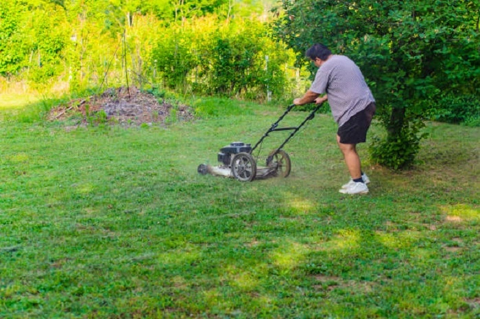 frequent mowing