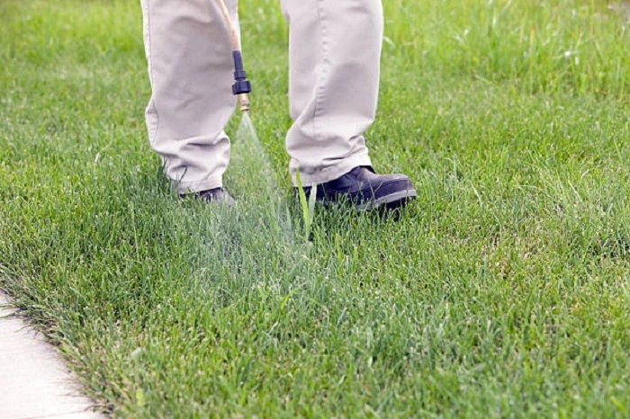 crabgrass control