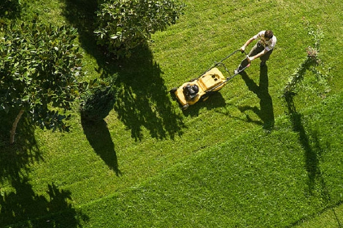 good lawn management