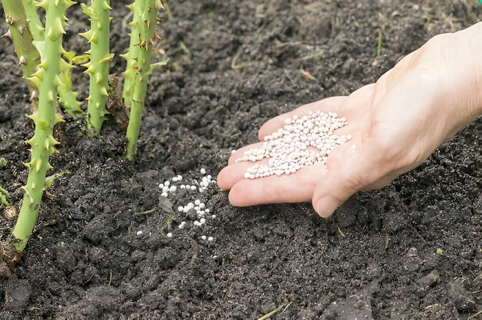 Can you use Autumn Lawn Feed in Spring?
