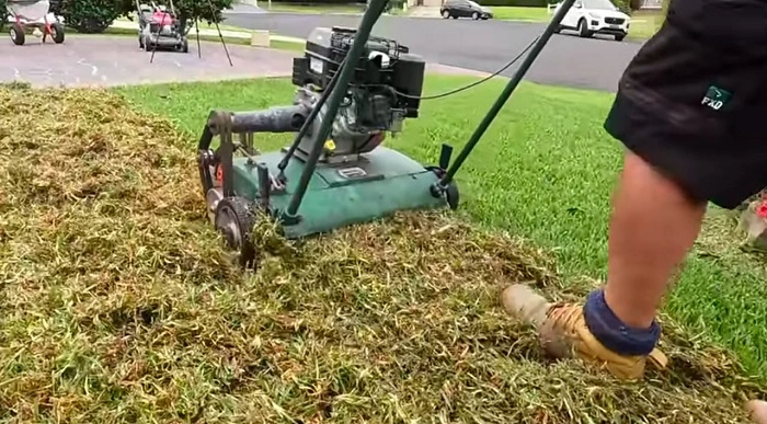mow the lawn atleast 2 inches