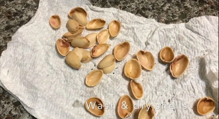 wash and dry pistachio shells