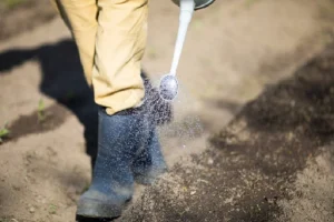 image of a man spraying pre emergent herbicide before preparing a food plot