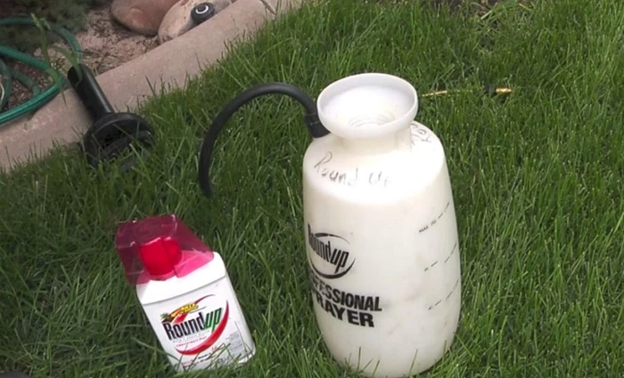image of Roundup spray