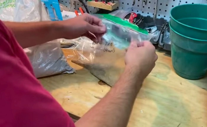 image of preparing grass seeds to place in freezer