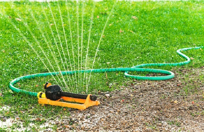 image of watering newly grown grass