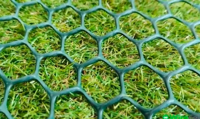 image of grass protectant on newly grown lawn grass