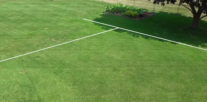 image of a lush green lawn achieved through dormant seeding