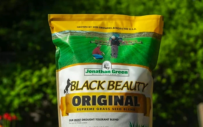 image of high-quality grass seeds