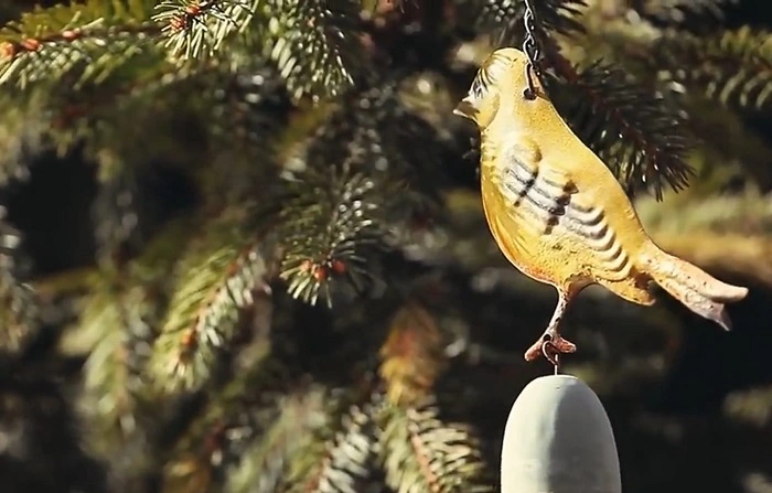 image of fake bird repellents to keep away birds from newly seeded area
