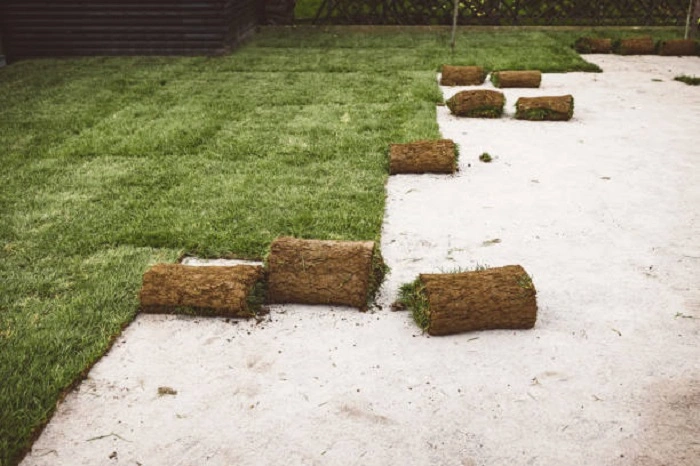 Factors That Affect Sod Weight