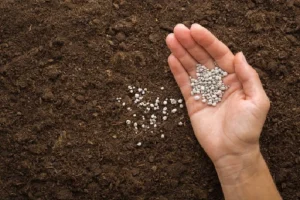 image of granular fertilizer in a hand