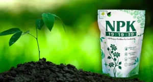 image of NPK 19-19-19 fertilizer
