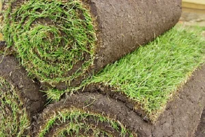 image of sod rolls