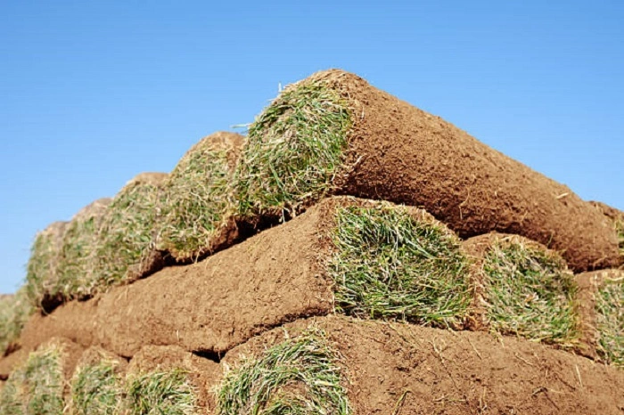 image of heavy sod rolls