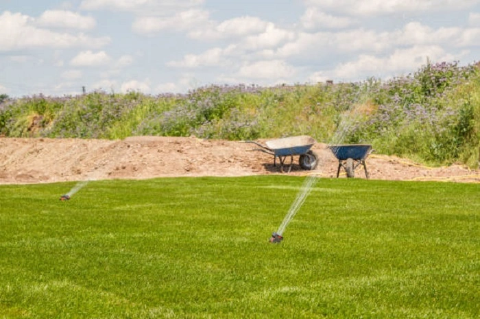 image of watering lawn after installation of sod