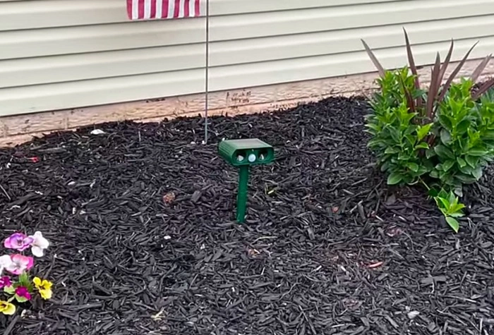 image of a motion sprinkler to keep the birds away