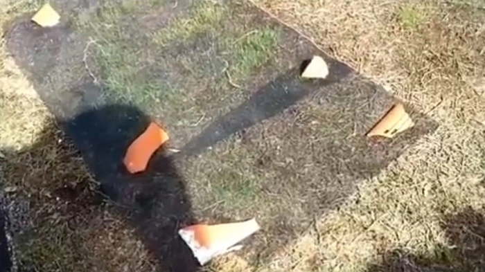 image of netting over newly seeded area to keep birds away