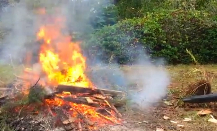 image of burning of wet leaves