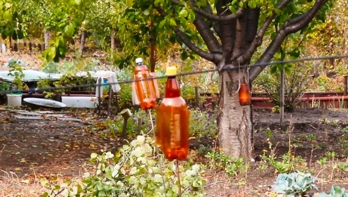 image of reflective tapes to keep away birds from eating grass seeds
