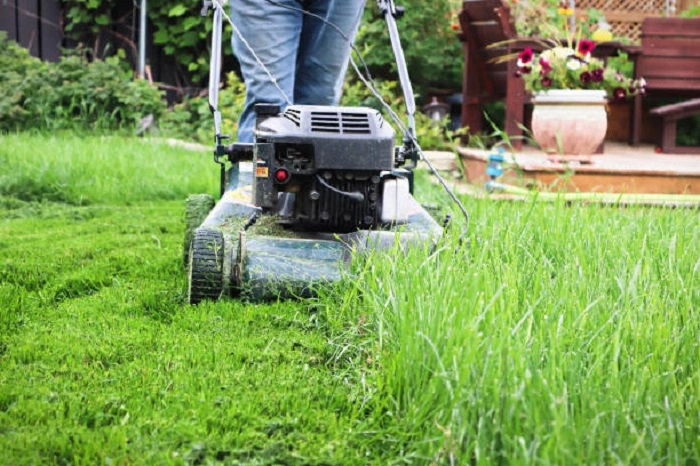 image of mowing lawn with mulching mower