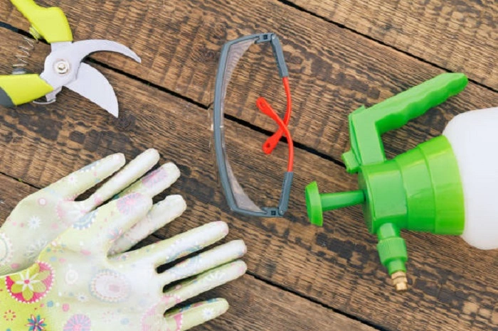 image of required tools to prune snake plants