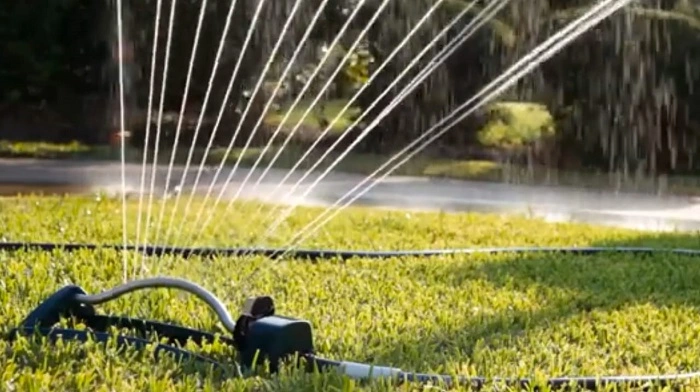 image of watering centipede grass lawn