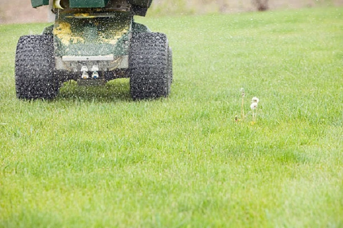 image of fertilizing lawn grass
