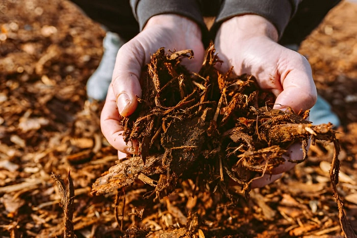 image of wood chips mulch
