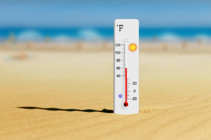 iamge of a thermometer showing accurate temperature for the growth of portobello mushrooms