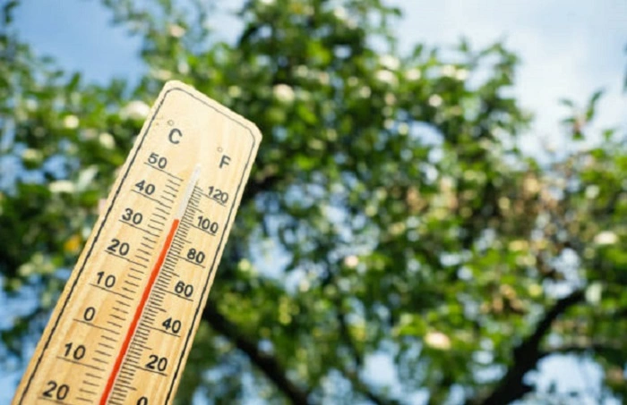 image of a thermometer