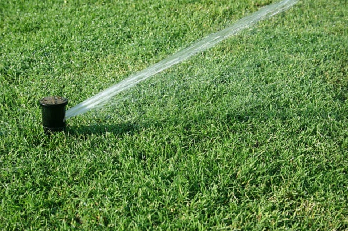 image of watering bermuda grass lawn