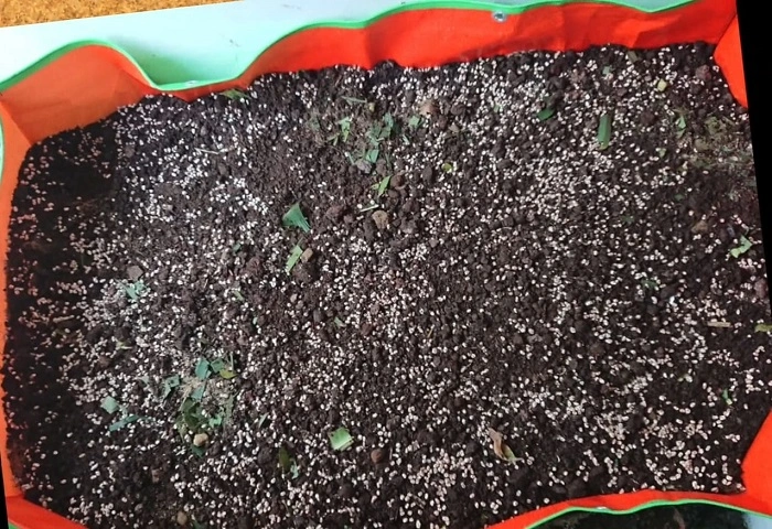 Repeat The Process For More Portobello Mushrooms