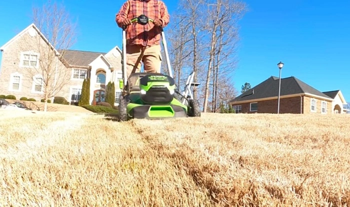 image of scalping of bermuda grass in spring