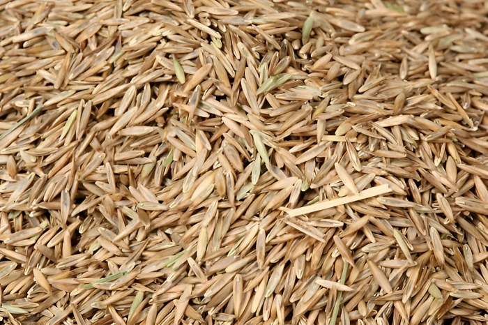 image of grass seeds in bulk