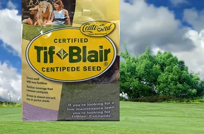 image of centipede grass seed bag