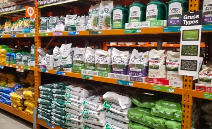 image of a variety of grass seeds