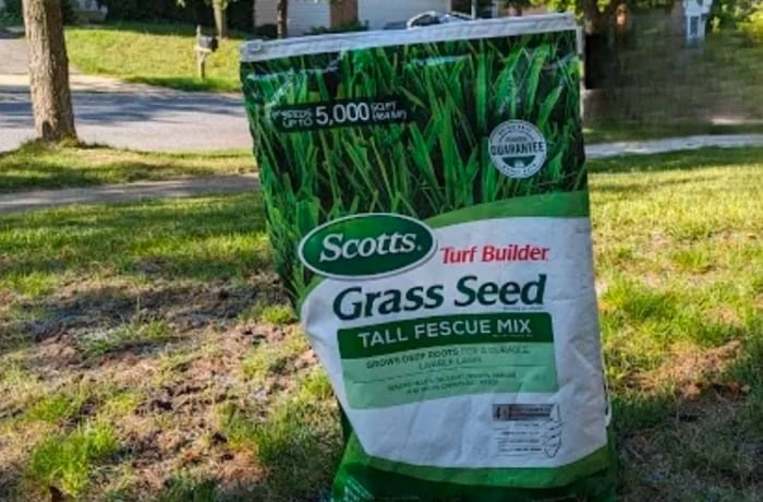 image of bag of fescue grass seeds