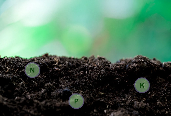 image of potassium, nitrogen and phosphorus rich soil