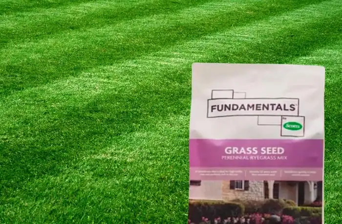 image of a bag of ryegrass seed