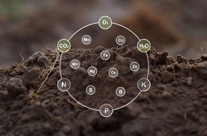 image of nutrient rich soil