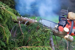 image of a smoking chainsaw