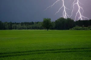 image of lightning over grass