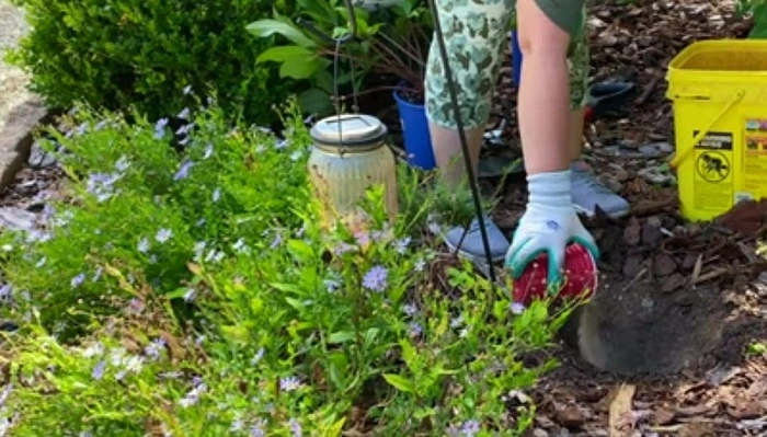 image of adding fertilizer