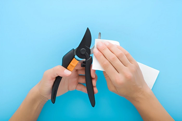 image of sanitizing a pruning shears