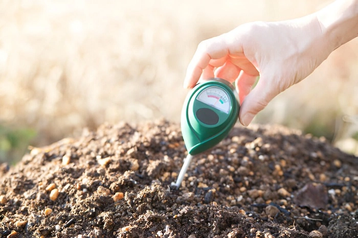 image of measuring the soil pH