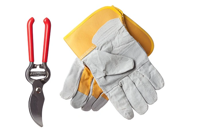 image of pruning shears or gloves